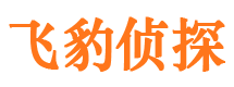 龙泉调查事务所